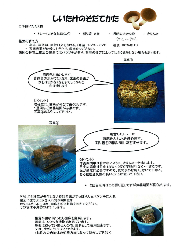 しいたけ栽培キット