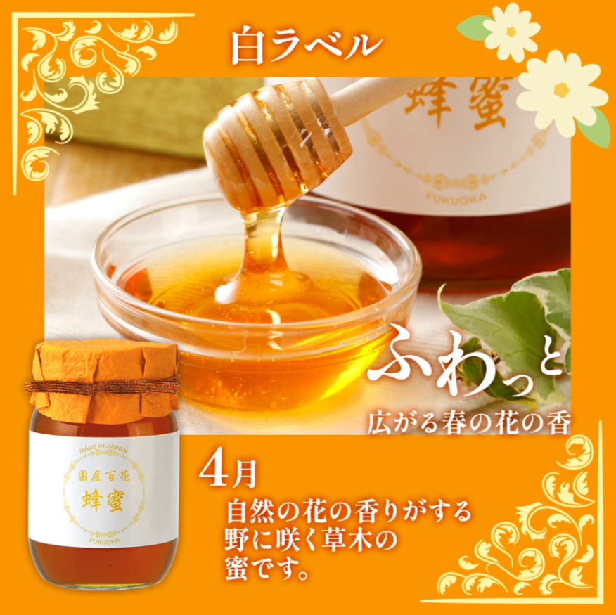 はちみつ 国産 蜂蜜ギフト 500g×2本 白黒ラベル