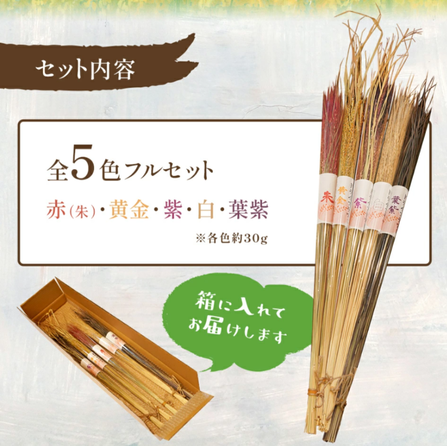 古代の稲穂ドライフラワー(5色セット)