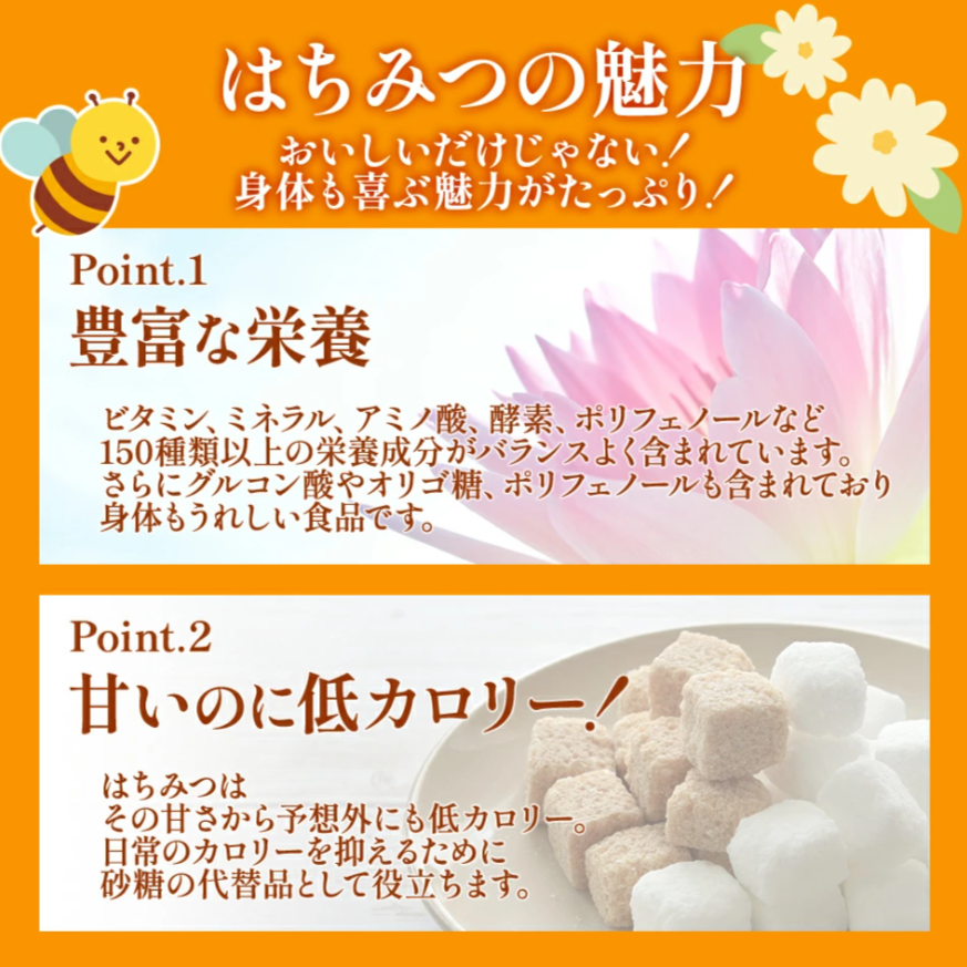 はちみつ 国産 蜂蜜ギフト 500g×2本 白黒ラベル