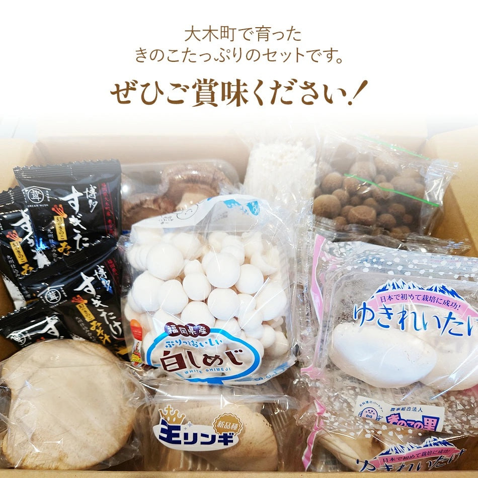 きのこ詰め合わせ 15点セット