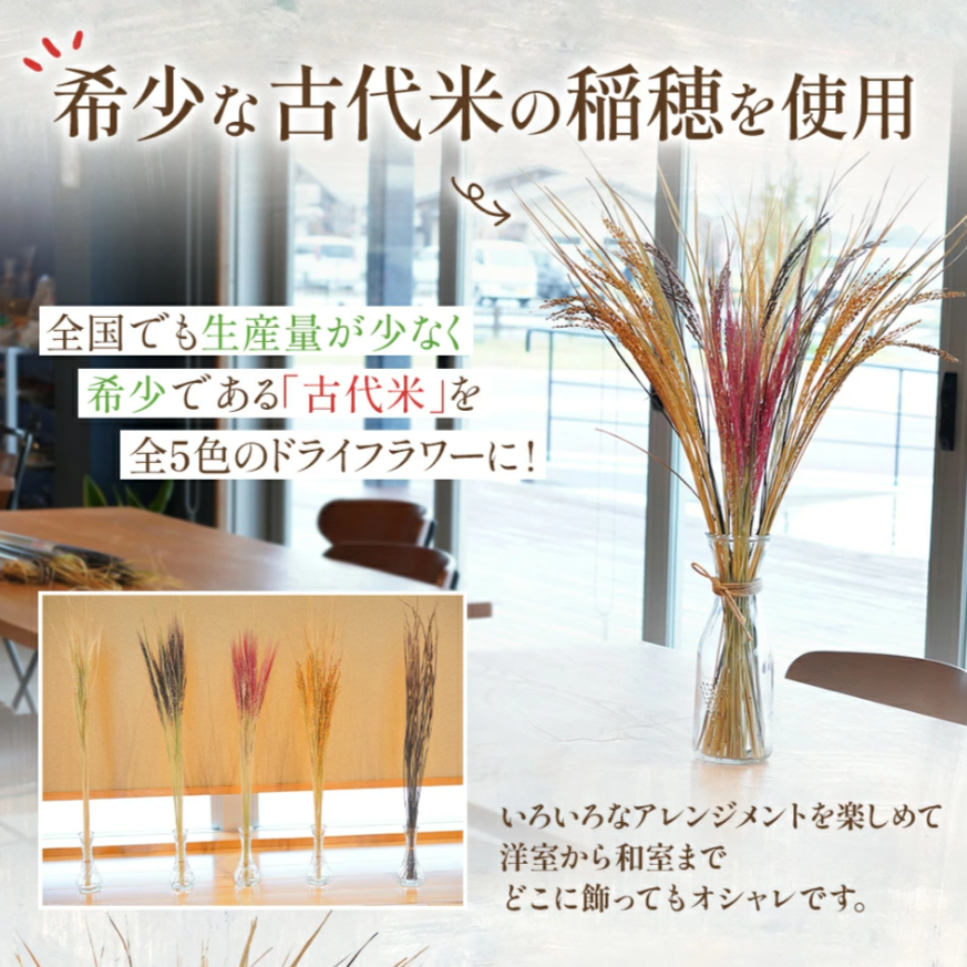 古代の稲穂ドライフラワー（5色セット）