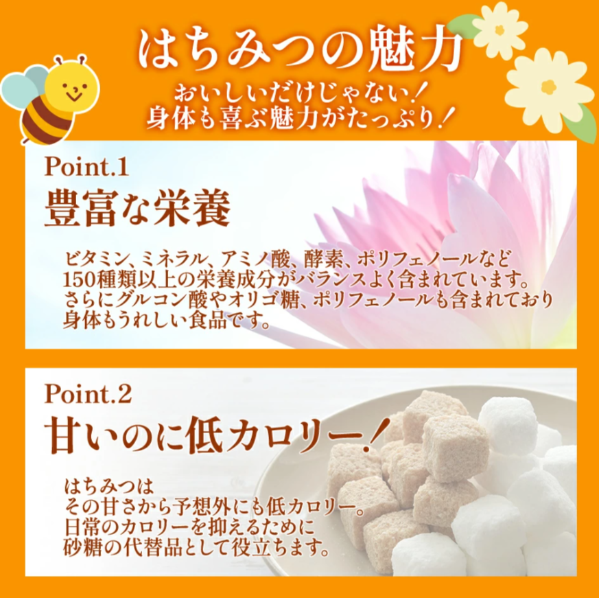 蜜蜂ページ 澤谷養蜂園 しぼりたてうつぎ生はちみつ | DEAN & DELUCA【公式】