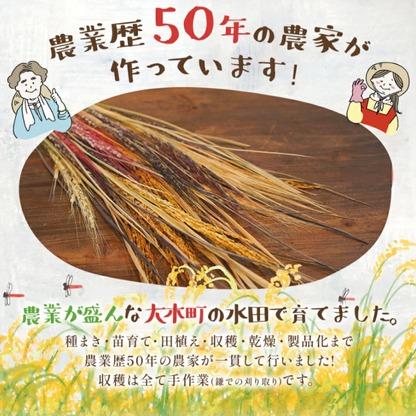 古代の稲穂ドライフラワー（5色セット）