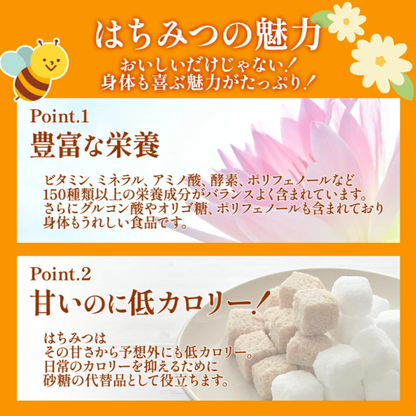 はちみつ 国産 蜂蜜ギフト 500g×2本 白黒ラベル