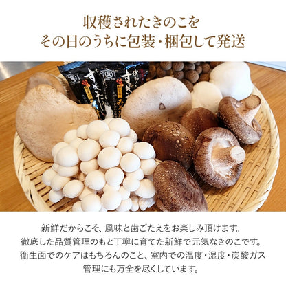 きのこ詰め合わせ 9点セット