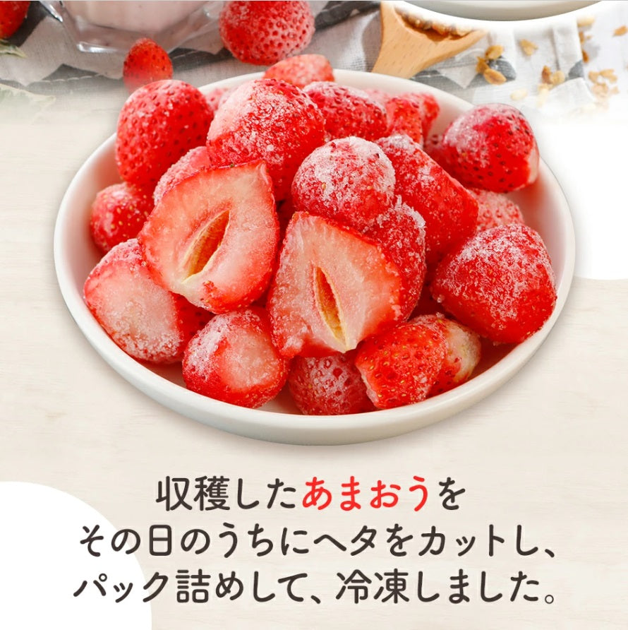 【FCお試し用】１５０(いちごまる)あまおうスムージー専用 冷凍あまおう６パック トライアルキット付き